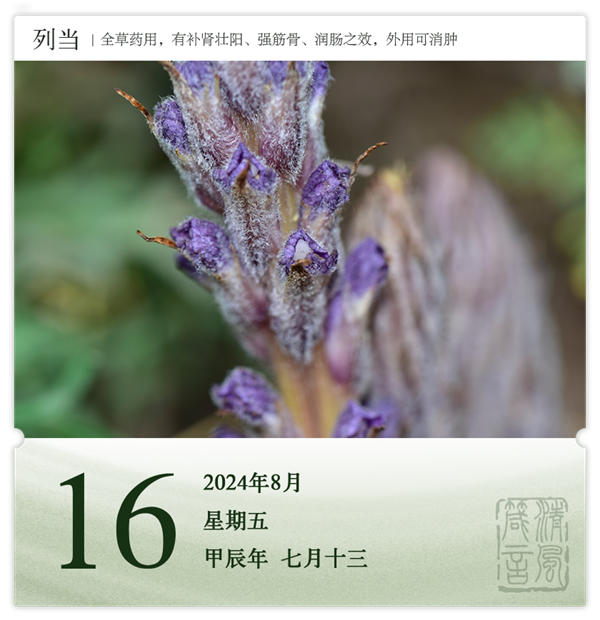 1722581233416733.png 箴历日历8-16.png