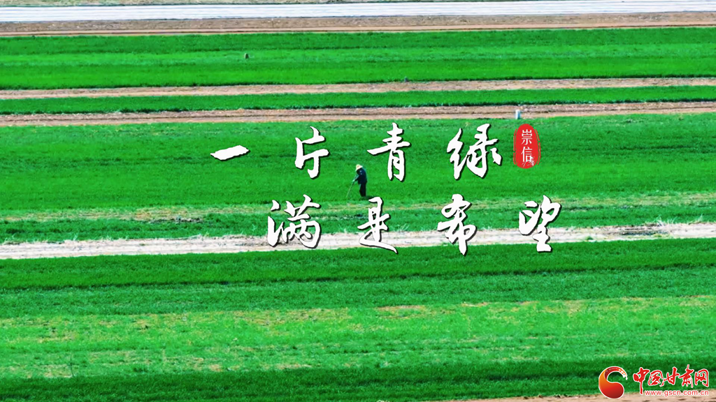【甘快看】春动陇原·陇拍客丨平凉崇信：沃野铺翠绘就春日好“丰”景