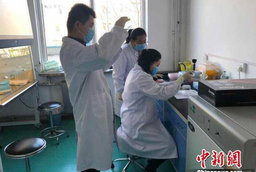 凯发k8省核酸检测试剂费用由110元下降到80元以内